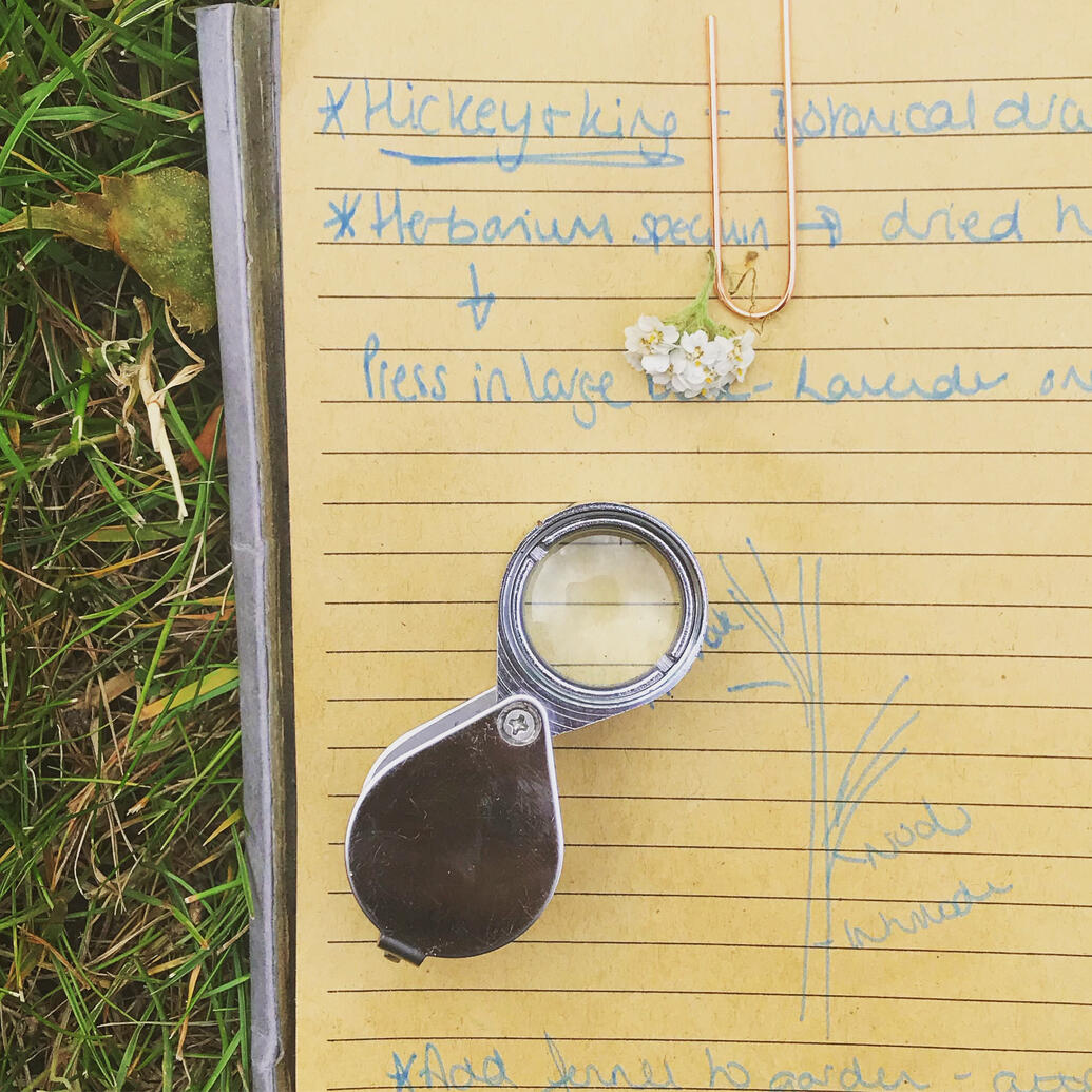 A botanist&#39;s glass on a notebook